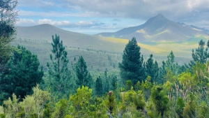 Tsitsikamma Mountains