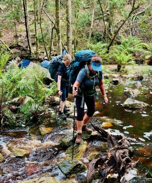 Tsitsikamma_Forest Hiking
