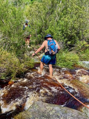 Tsitsikamma_Bloukraans River Crossing