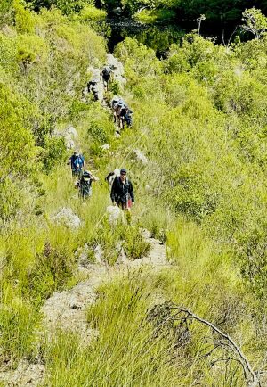 Tsitsikamma_Grassy Valley