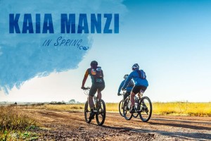 Group of 3 cyclists riding away from camera on flat dirt road with field of green