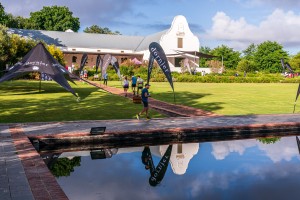 Dornier is stunning!