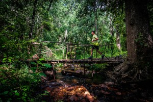 Bridges over the river