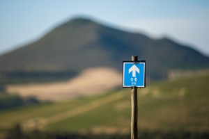 Follow the signs