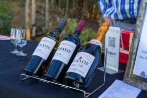 Wine per glass or bottle