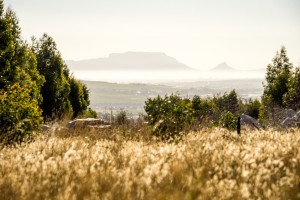 Table mountain views as the sun sets
