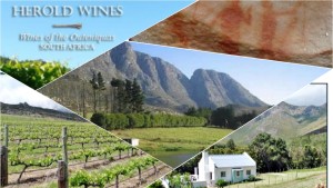 Join the Eden Akker Stappers for a hike on a beautiful wine farm in Herold!