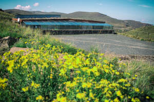 AfriAdventure Backpackers