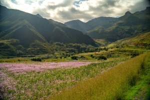 Mountains of Lesotho