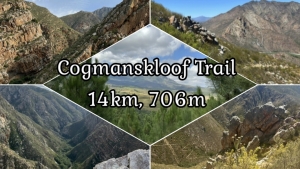 Two lookout points & Cogmans Peak 690m