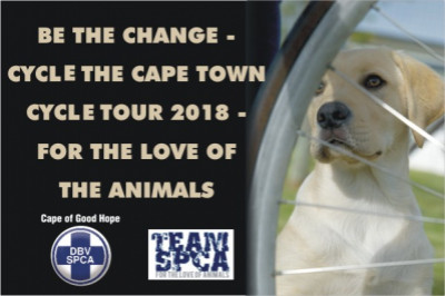Cape of Good Hope SPCA Cape Town Cycle Tour 2018 Cape of Good Hope SPCA Cape Town Cycle Tour 2018