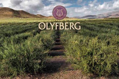Olyfberg Summit Challenge - Wacky Wine Weekend