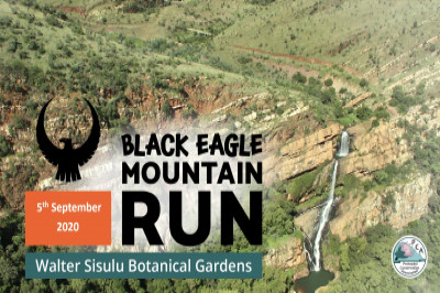 Black Eagle Mountain Run