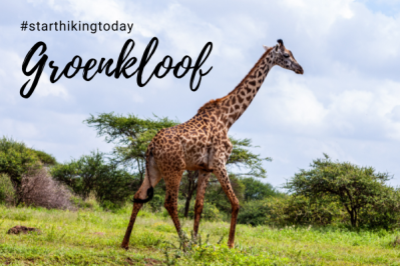 Day Hike # 1 – Groenkloof – Friday 17th December – Pretoria