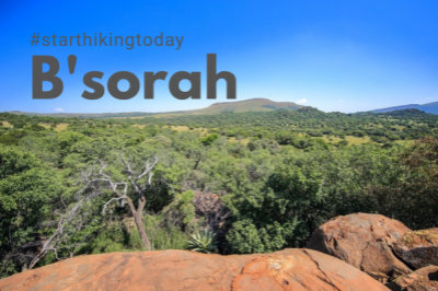 Day Hike # 6 – B’sorah Trails – Wednesday 22nd December – Magalies ...