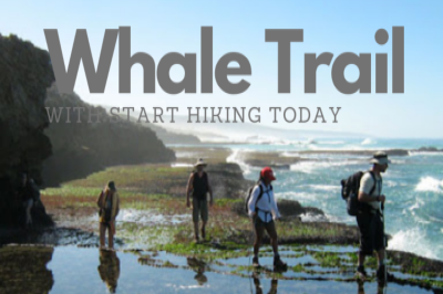 Guided Whale Trail - 11-16 January 2023 - Cape Nature - WC Guided Whale Trail - 11-16 January 2023 - Cape Nature - WC