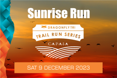 Dragonfly Sunrise Run - Dec