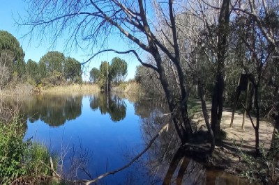 Helderberg Farm Orienteering