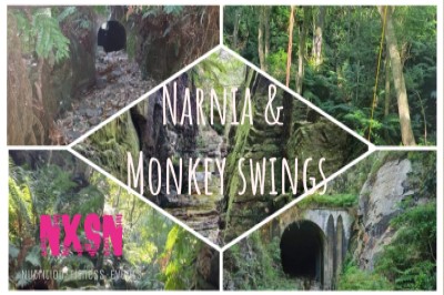 Narnia & Monkey swings Hike