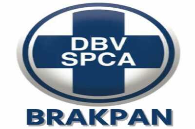 Brakpan SPCA Night Trail Run & Walk #2