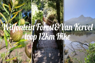Witfontein Forest&Van Kervel loop 12km Hike