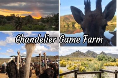 Chandelier Game Farm 8km Hike