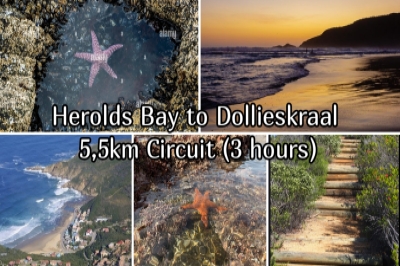 Herolds Bay to Dollieskraal 5,5km Circuit