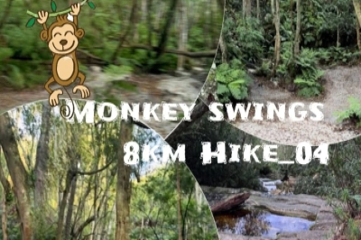 Monkey swings 8km Hike_04 Monkey swings 8km Hike_04