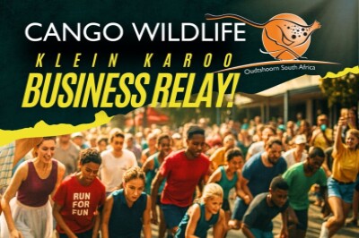 Cango Wildlife Klein Karoo Business Relay Cango Wildlife Klein Karoo Business Relay