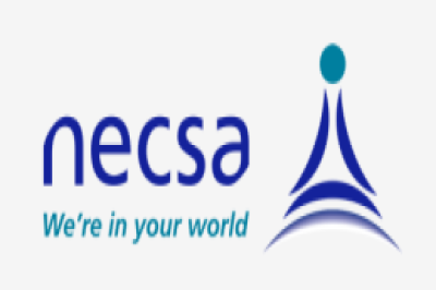 NECSA FUN RUN/WALK NECSA FUN RUN/WALK