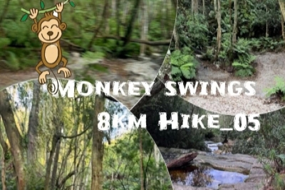 Monkey swings 8km Hike_05
