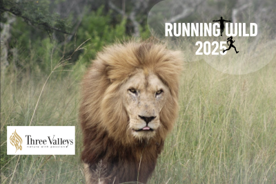 Running Wild 2025