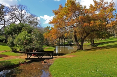 Wynberg Park Orienteering
