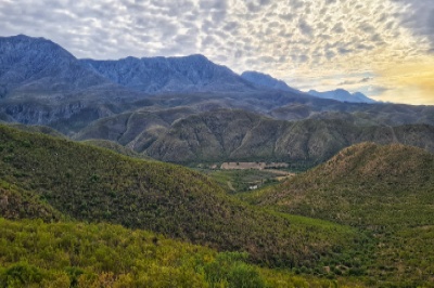 Wellness and Trail Run Retreat