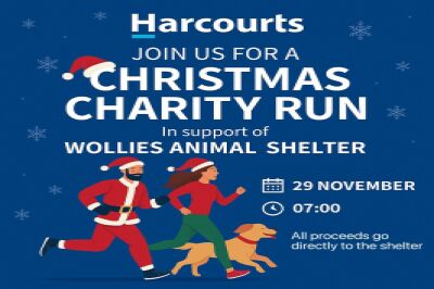 Wollies Charity Christmas run
