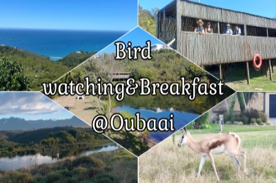 Bird watching&Breakfast @Oubaai