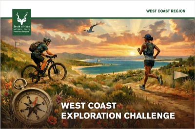 The Exploration Challenge
