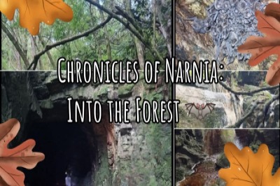 Chronicles of Narnia: Into the Forest