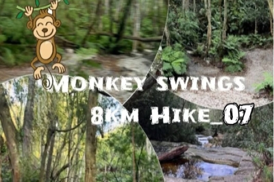 Monkey swings 8km Hike_07