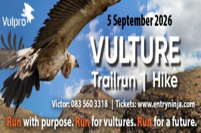 Vulture Run/Hike