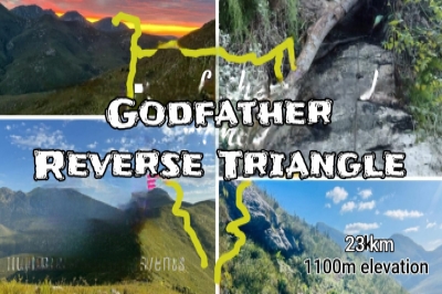 Godfather Reverse Triangle
