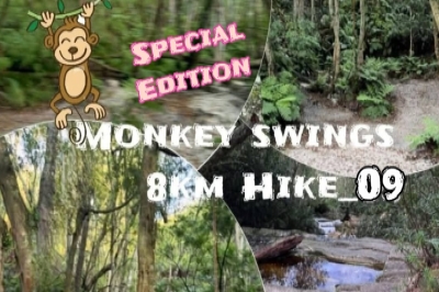 Monkey swings 8km Hike_09